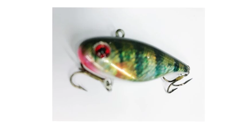 This digital print label won’t leave your fishing lure hanging Thumb